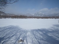 ��Ɛጴ���Y��ł������B