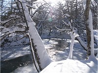 �Ăѓ���̗��ꂪ�����B