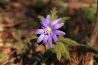 �L�N�U�L�C�`�Q�̎��ԁB���Ԃ�����܂��B