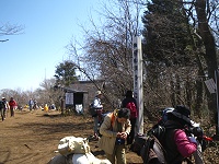 �p�c�R�R���ɓ����B