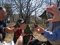 ���܂��ł����t�I�I