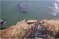 ���䂩��̊K�i�����Ȃ�̋}�X�΂��E�E�E�B