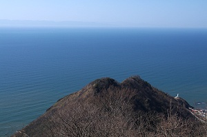 ����R�[�X����̓W�]�͑f���炵���ł��B