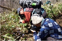 �����ŎB��JUN����Ƌe�n����B