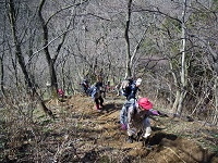 �}�ȓo��͂��Ȃ��ςł��B