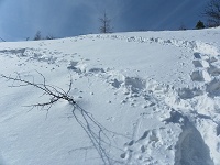 �R���܂ł��Ə����I�I�@�����ڂ���͐[���ł��I