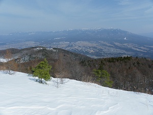 �����x�A��͔��͖��_�I�I