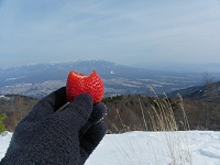 �f�U�[�g�̓C�`�S�B