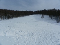 ���}�����̐ጴ��o��܂��B