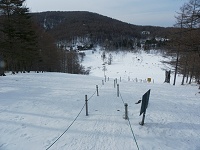 �����㕔����̒��߁B����Ȃ�ɌX�΂�����̂��킩��܂��ˁB