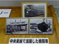 �w�ɏ����Ă����r�k�̎ʐ^�B