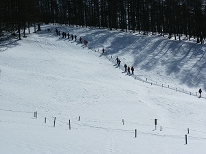 �c�̂��]���]���Ǝ����������Ă����B