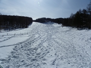 ���}�R�����̂��Ԕ��̎ΖʁB