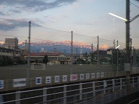 �����Q�����[�g�ɐ��܂��A���v�X�B