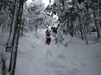 �����Ȃ�̋}�Ζʂ�o��I