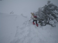 �X�ь��E�𔲂��ėŐ��ɏo��ƕ��������Ȃ�I