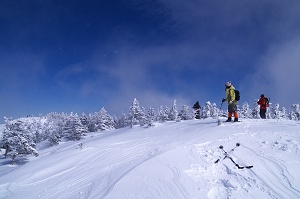 ��C�ɐ󂪍L����k����Y��Ɍ����Ă����I�I