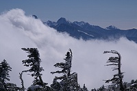 �_������Č����Ă���씪���x���J�b�R�C�C�I�I