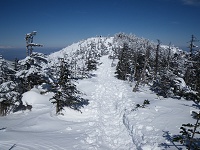 �k��Ɠ����q���Ő��B