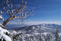 �씪���x�ׂ̗ɂ͋���R��b���M�x�������Ă����B