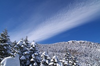 �k���x�Ɛ�B