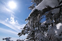 ���z��ῂ������ǋC�������悢�ł����`�B