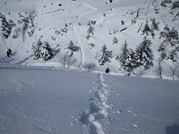 ���̎Ζʂɓo�茩���낵���Ƃ���B���\�ȍ����ł��B