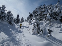 �t���̓��������Ԃ��Đi�ށE�E�E�B