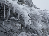 ���ɖ��X�����Ă܂����B