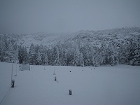 �ڎw���k���x�͉_�͑��������E�͂܂��܂��ǍD�B