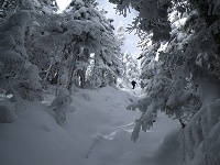 ���������ȋ}�ΖʁI�@�ł����邭�Ȃ��Ă������I�I