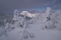 �_���؂�����ȎR���������I