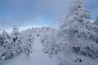 ���Ɍ������Ő��͂�����ƕ������������B