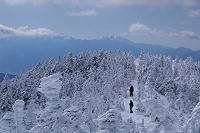 �U��Ԃ�Ζk��ɑ����Ő����Y��B�w��ɂ͓�A���v�X�B