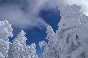 ��Ǝ��X���Y�킾�I