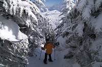 ���̐悪�}�X�΂ł�����Ƌْ��`�B