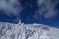 ����Ă����k���x���ʁB�@���[�����������ɋ���΂悩�������H