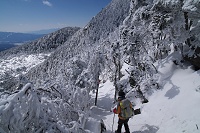 �ؒ�Ɍ����Ăǂ�ǂ�Ɖ���B