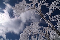 ���X�Ɛ�B