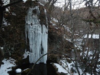 �z�e���̖��O�ɂȂ��Ă�V�R�̏��ꂪ����܂����X�e�ɂȂ��Ă܂����B