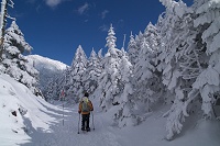 �k���̂悤�Ȍ��i�𒭂߂Ȃ���i�ށB