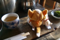 �g�F�ŉ��܂郏���R�����B