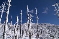 �Ȍ͂ꌻ�ۂƔw��͎Ȍ͎R�B