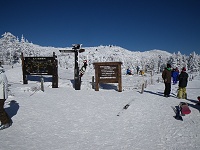 �R���w�O�B��i�F��ῂ����I