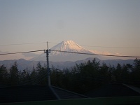 �x�m�R�����܂��Ă����B