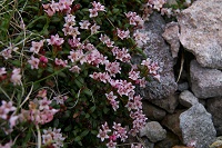 �~�l�Y�I�E�͖{�B�̂��̂��F���Z���B