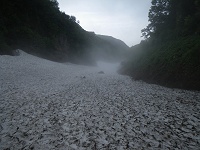 �����ɂǂ�ǂ�Ɖ����Ă䂭�B�[�̕��͂�����Ɩ��邢�H