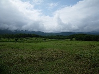 ���̂����肩��m���A�R��������̂����ǁE�E�E�B