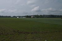 �k�C���炵�����̕��i�̒����Ђ�����B�B�B