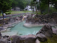 �I�V�̊╗�C�B���a���Ń~���g�F�Ɍ����܂��B